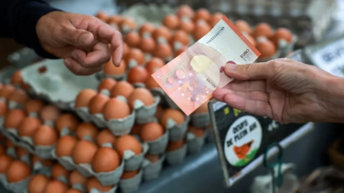 The general election and inflation have led to a contraction in French consumption